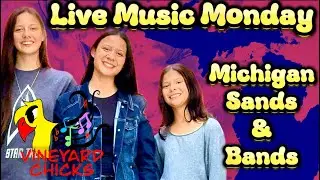 Livestream Music w/ Vineyard Chicks - Michigan Pt 3