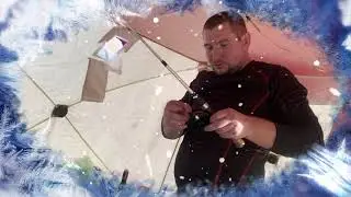 Зимний Тауш 2020