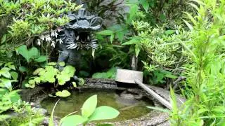 Waterfalls and streamlets HD (Japan)