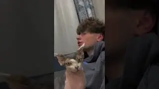 Tiktok дикийданияр - чо