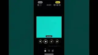 Weezer blue