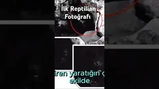 İlk Reptilian Fotoğrafı #gizemlervebilinmeyenler #youtuber #youtube #youtubeshorts #tarih #film