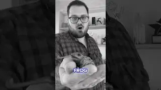Just Take This Frog! 🐸 or Where Our Hair 💇‍♀️ Comes From!