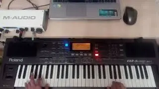 Листья жёлтые над городом кружатся Roland EXR 5s
