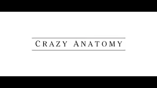 CRAZY ANATOMY - LA SERIE - Ep.#2 Non c'è 1 senza 2..!