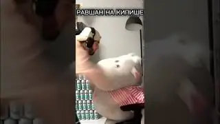 Равшан на кипише 🔥