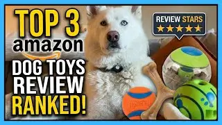 Top 3 Dog Toys in Amazon | Honest Review