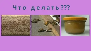 Что будет с медом, который остался в рамках после зимовки