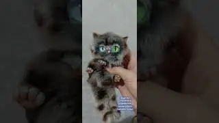 Карманный обниматель котик ручной работы в смешанной технике.
