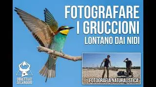 FOTOGRAFARE I GRUCCIONI - Fotografia naturalistica
