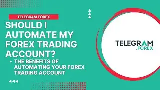Should I Automate My Forex Trading Account? The Benefits of Automating Your Forex Trading Account