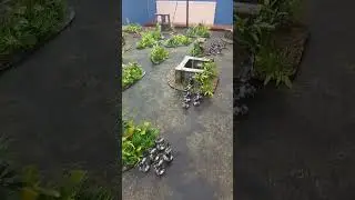Filming 40k 2nd edition battle report