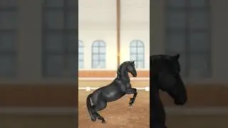 Lipizzaner ❤️‍🔥 