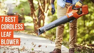 7 Best Cordless Leaf Blowers