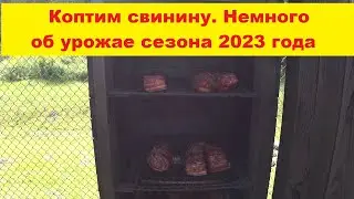 Коптим свинину на даче. Поговорим немного об урожае сезона 2023 года. Kūpinam cūkgaļu.