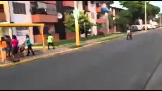 Puerto Rican fails at endo but wins at jackass.