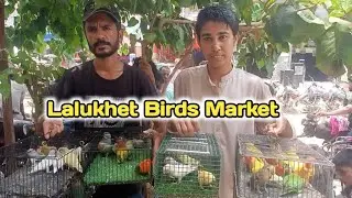 Lalukhet Birds Market Sunday Video 30-06-2024 BY Love birds Karachi in Urdu/Hindi