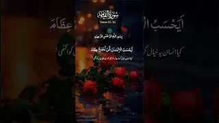 kia insan ya khyal krta he k #quran #quranrecitation #qurantranslation #trendin #viralshorts #shorts