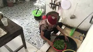 giới thiệu cách rửa sạch rau rền p2