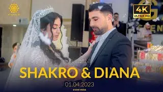 Shakro & Diana // Shirani//Езидская помолвка//Dawata Ezdia 2023