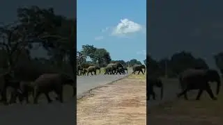 #africa