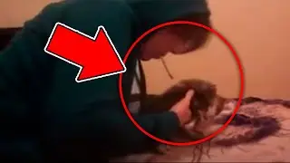 10 Mistakes You Missed In Don't Fk With Cats!