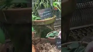 Зимняя прогулка в тропиках
