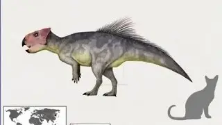 Гелиоцератопс — недоволен отсутствием рогов!