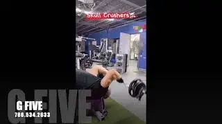 G FIVE TRAINING AND WELLNESS in Miami Springs