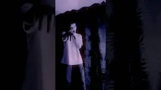 RASNOVSKY - Закат (Сниппет)