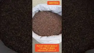 Исфара Кунчит барои Фруш 2тон