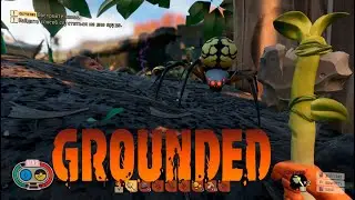 Grounded #2 идем к цели