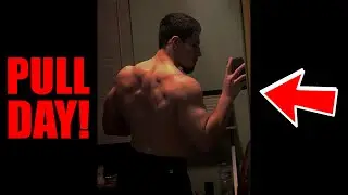 JAM: PULL WORKOUT! (BACK & BICEPS)
