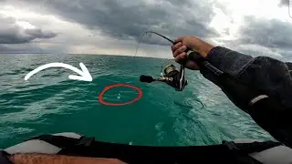 JORNADA desde PATO en BUSCA DE ESPARIDOS | VideoBlog #15
