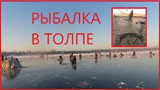Рыбалка в толпе в черте города. Первый лёд 2020 - 2021.