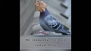 просто будь хорошим человеком