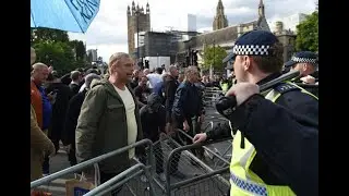 Anti-Brexit Protesters at Westminster