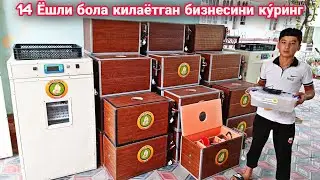 АРЗОН ИНКУБАТОРЛАР ☎️994329358 INKUBATOR YASASH VA YETKAZIB BERISH (katta inkubatorlar) жужа очириш