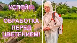 Обработка Винограда! Перед цветением! Препараты и нормы!