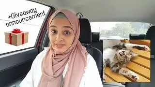 they're testing me (the cat, obviously...)