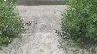 Michipicoten River Crownland Camping