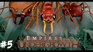 Как это пройти? Empires of the Undergrowth #5