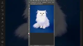 photoshop tutorial how to make a pop art portrait from a photo 