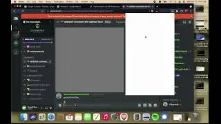 How to get Whitelisted on our Discord