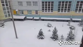 Муксун  слабосоленый.   Строганина  из  Муксуна. Уха  из  Муксуна.
