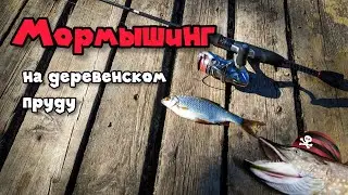 МОРМЫШИНГ НА ДЕРЕВЕНСКОМ ПРУДУ. Ловлю плотву и окуня на ультралайт спиннинг.