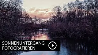 Sonnenuntergang ganz einfach fotografieren 🌿🌞 SONY A7R III SIGMA 16mm 1.4