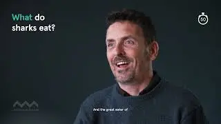 Amazing Shark Facts Vol 1: 90 Seconds with the Australian Museum's Trevor Ahern
