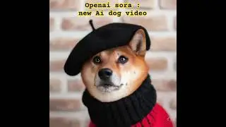 OpenAi sora : new dog video #openAi #sora  #dog #doglovers #dogs