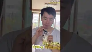 삼촌의 디저트 먹방 #디저트39 에서 주문한 레몬 요거트 아이스크림 #레몬아이스크림 #アイスクリーム #icecream